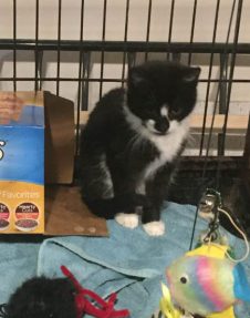 Carl : Male