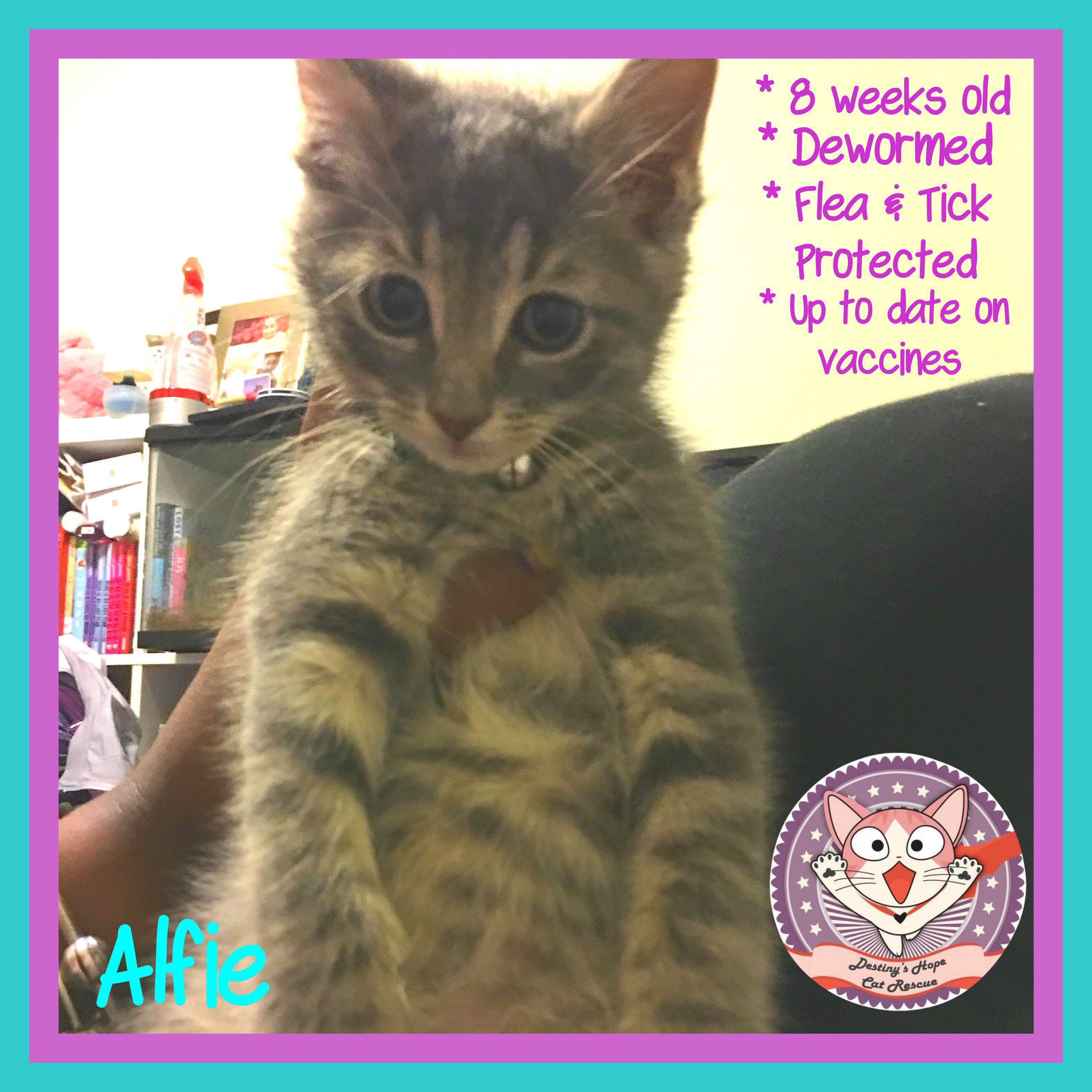 Alfie : 