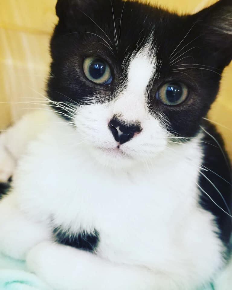 max : 